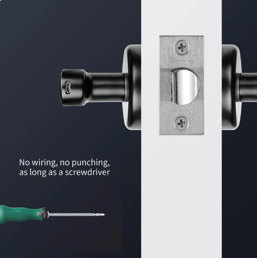 Smart Fingerprint Door Lock (Lever Handle Model)